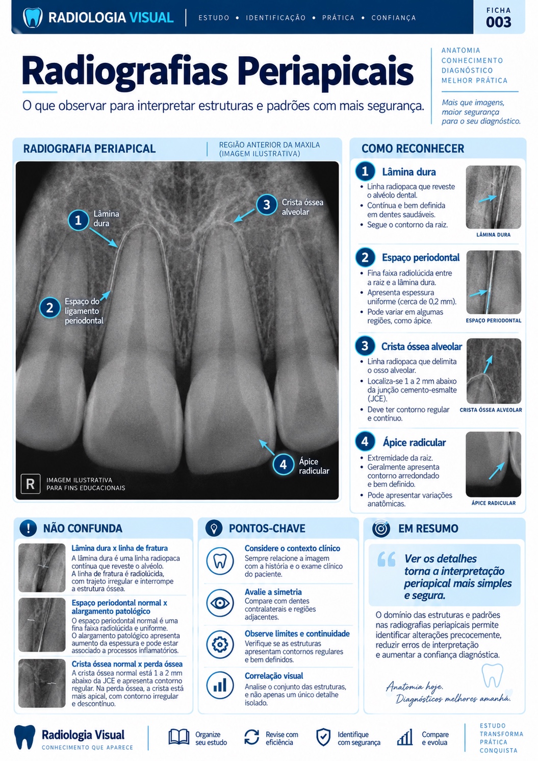 Ficha visual: Radiografias Periapicais