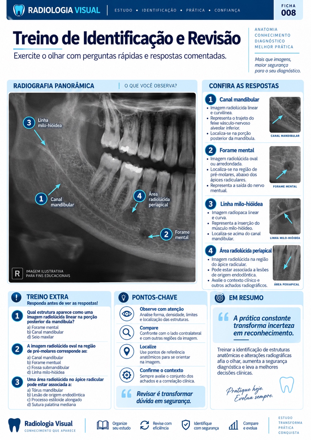 Ficha visual: Treino de Identificação e Revisão